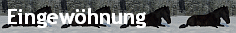 Eingew�hnung