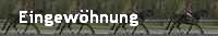 Eingew�hnung