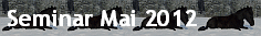 Seminar Mai 2012