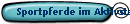 Sportpferde im Aktivstall