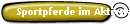 Sportpferde im Aktivstall