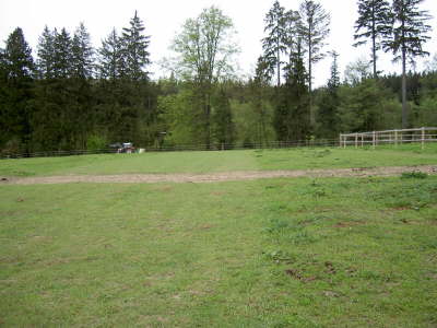 Koppel- pflege