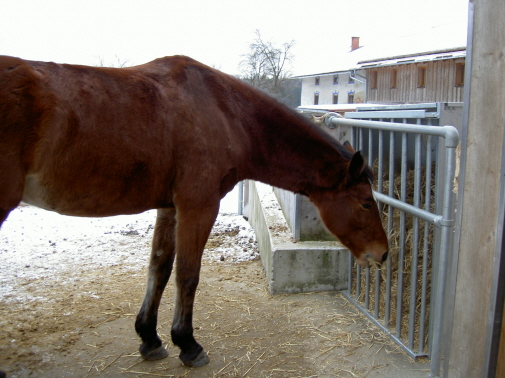 Strohraufe